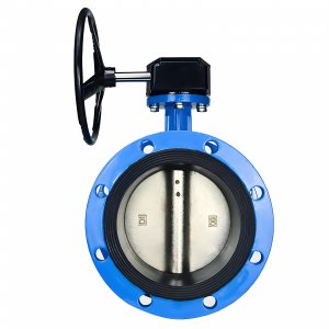 法蘭式蝸輪蝸桿蝶閥DN40，1.6Mpa（橡膠密封