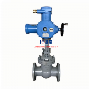  物聯(lián)網智能型閥門電動裝置ZB60-24(380)