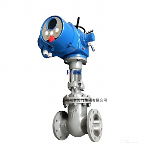 Z941H-16C/DN125重型材質閘閥（介質：煤氣）